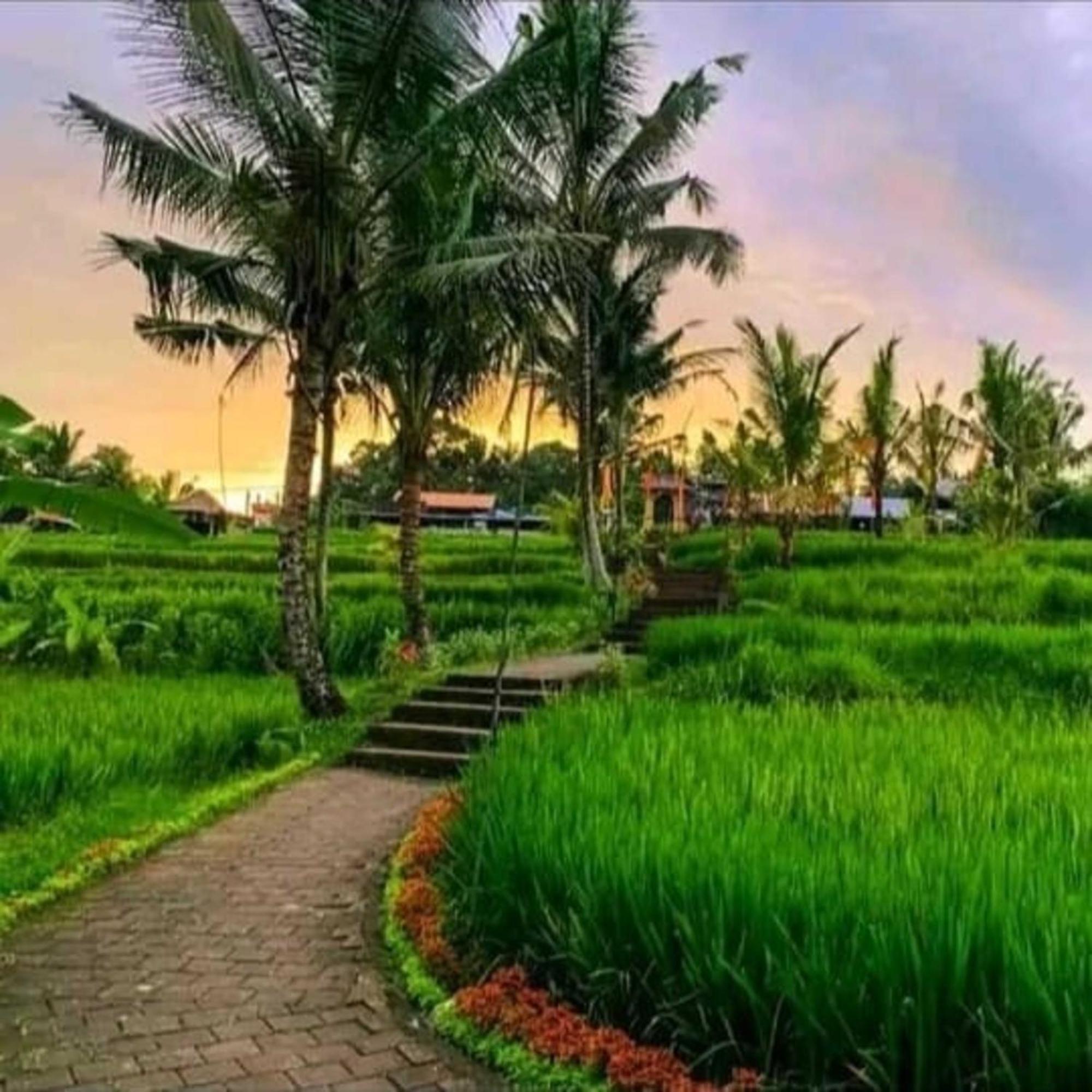 Pondok Kungkang Villa 2 Ubud  Luaran gambar